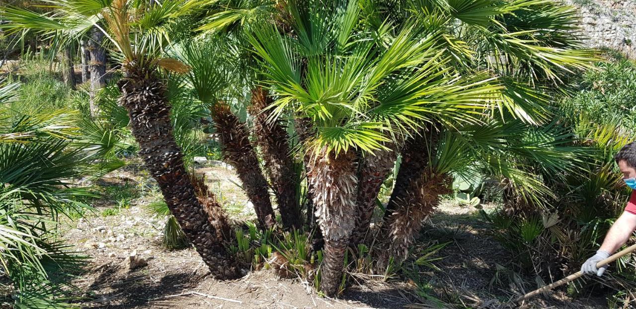 La Pineta Al Mare Leilighet Erice Eksteriør bilde