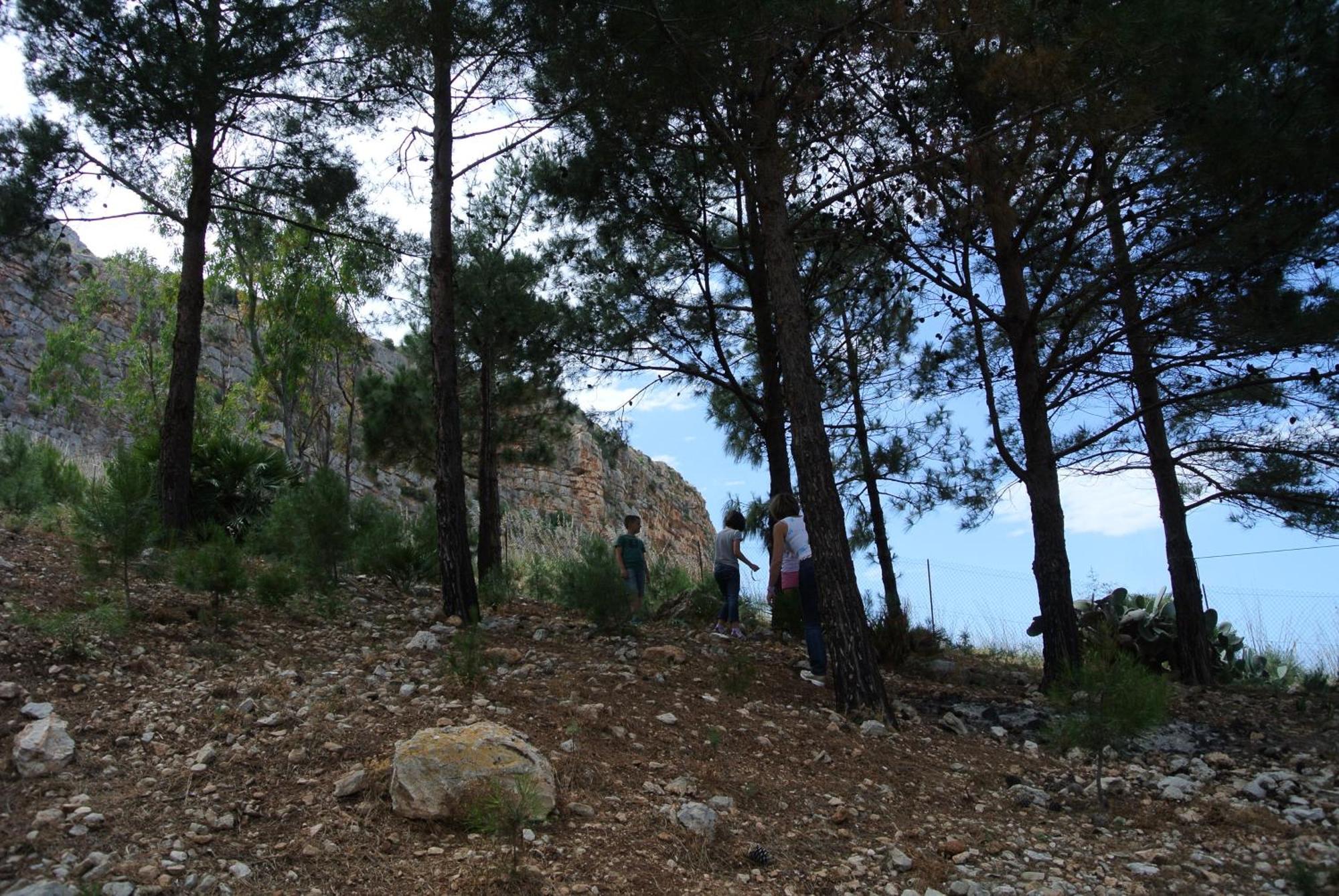 La Pineta Al Mare Leilighet Erice Eksteriør bilde